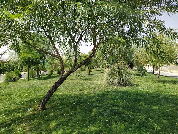 فاز 2 پردیس