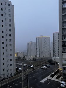 IMG_9755